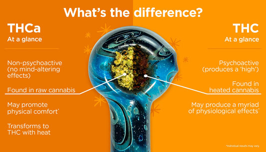 THCA vs THC: What's the Real Difference?